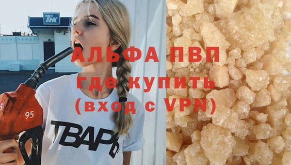 прущий лед Богданович