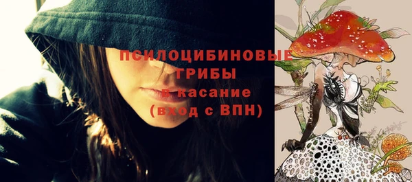 прущий лед Богданович