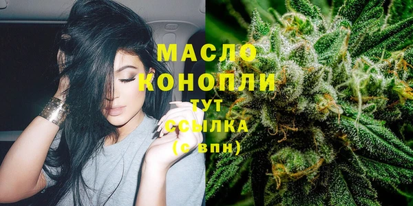 прущий лед Богданович